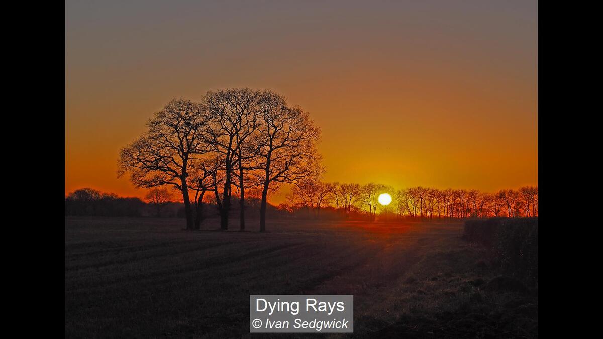 04_Dying Rays_Ivan Sedgwick